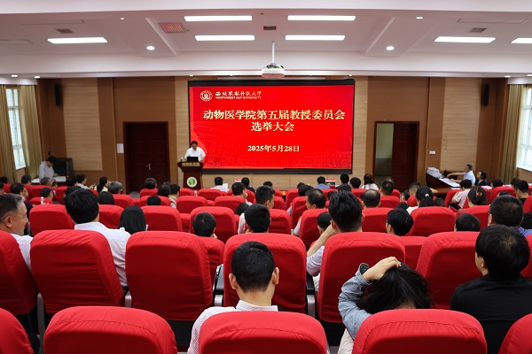 会议现场.JPG