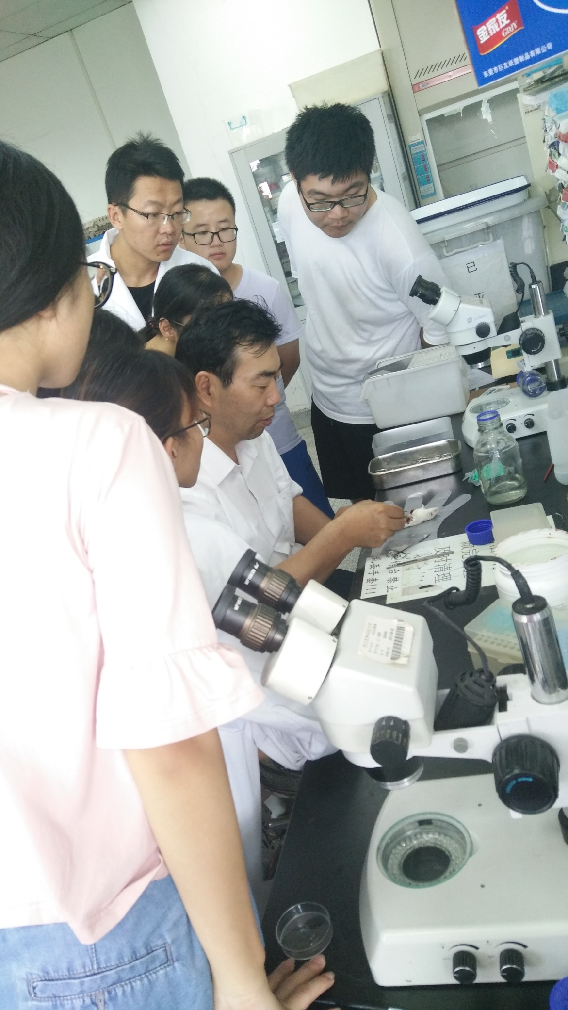 51de7c100b4e4d04811457c7de99b0da.png 51de7c100b4e4d04811457c7de99b0da.png