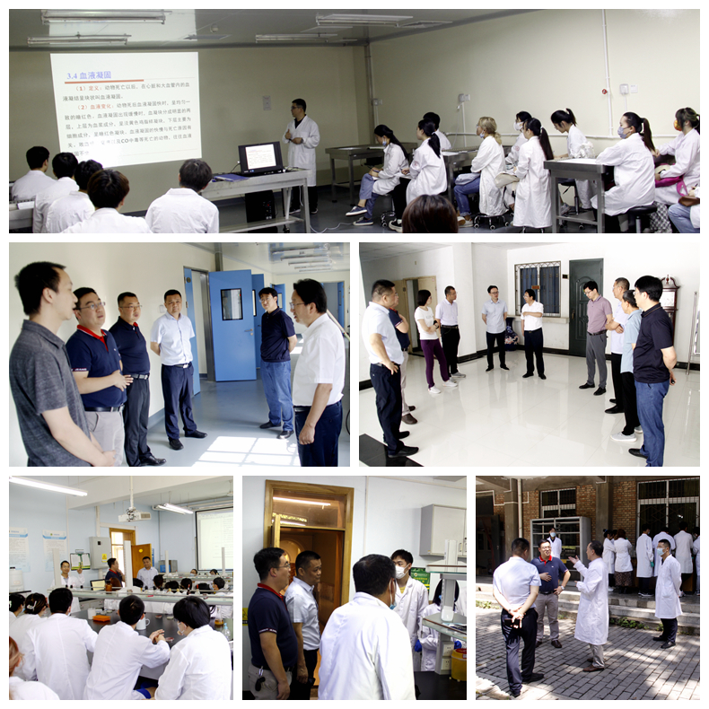 b9a97a9f5608402c98fc480a23828667.jpg b9a97a9f5608402c98fc480a23828667.jpg