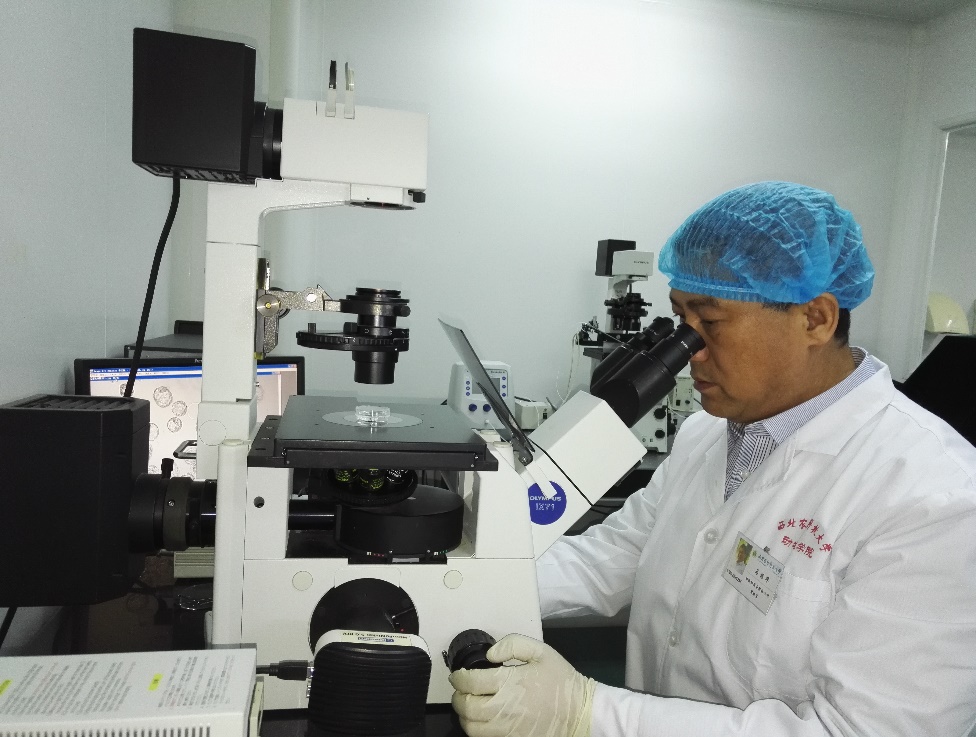 dffd34e60c9c48e88423c18f2fe8291d.jpg dffd34e60c9c48e88423c18f2fe8291d.jpg