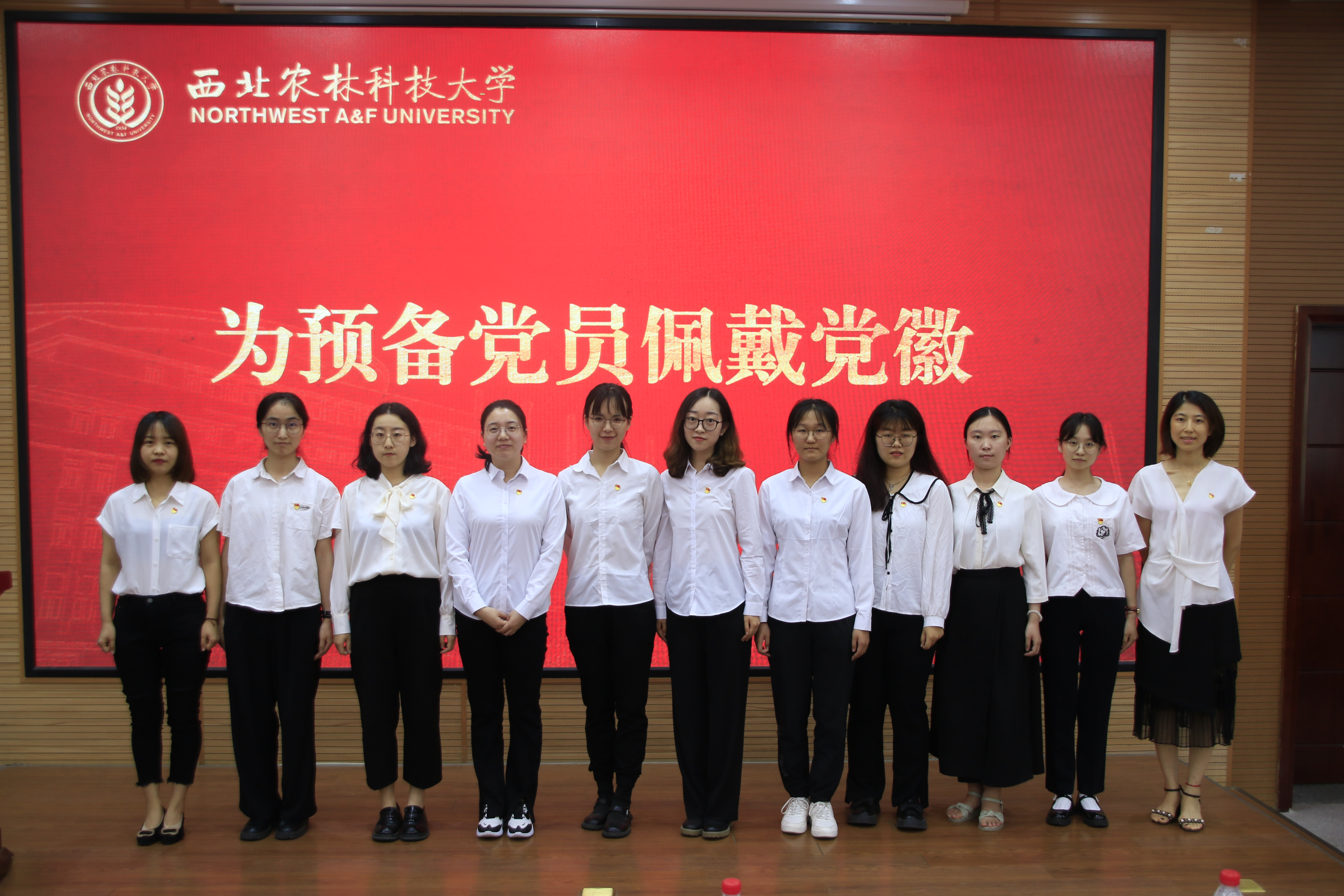 33a316e717864838aa663c414e528a26.jpg 33a316e717864838aa663c414e528a26.jpg