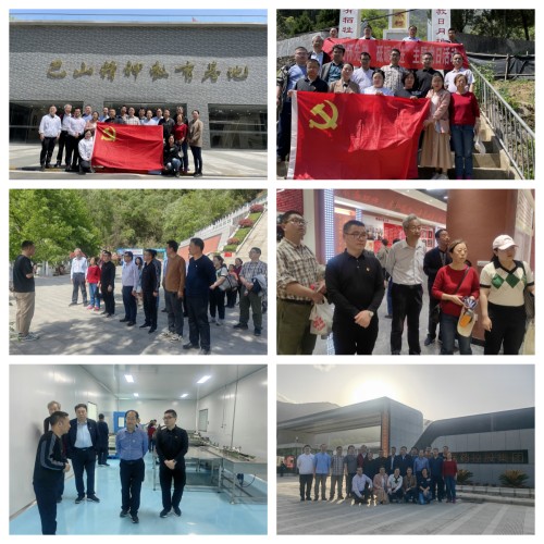 d6bc17a85658493599ba6db0525ae19c.jpg 未命名.jpg