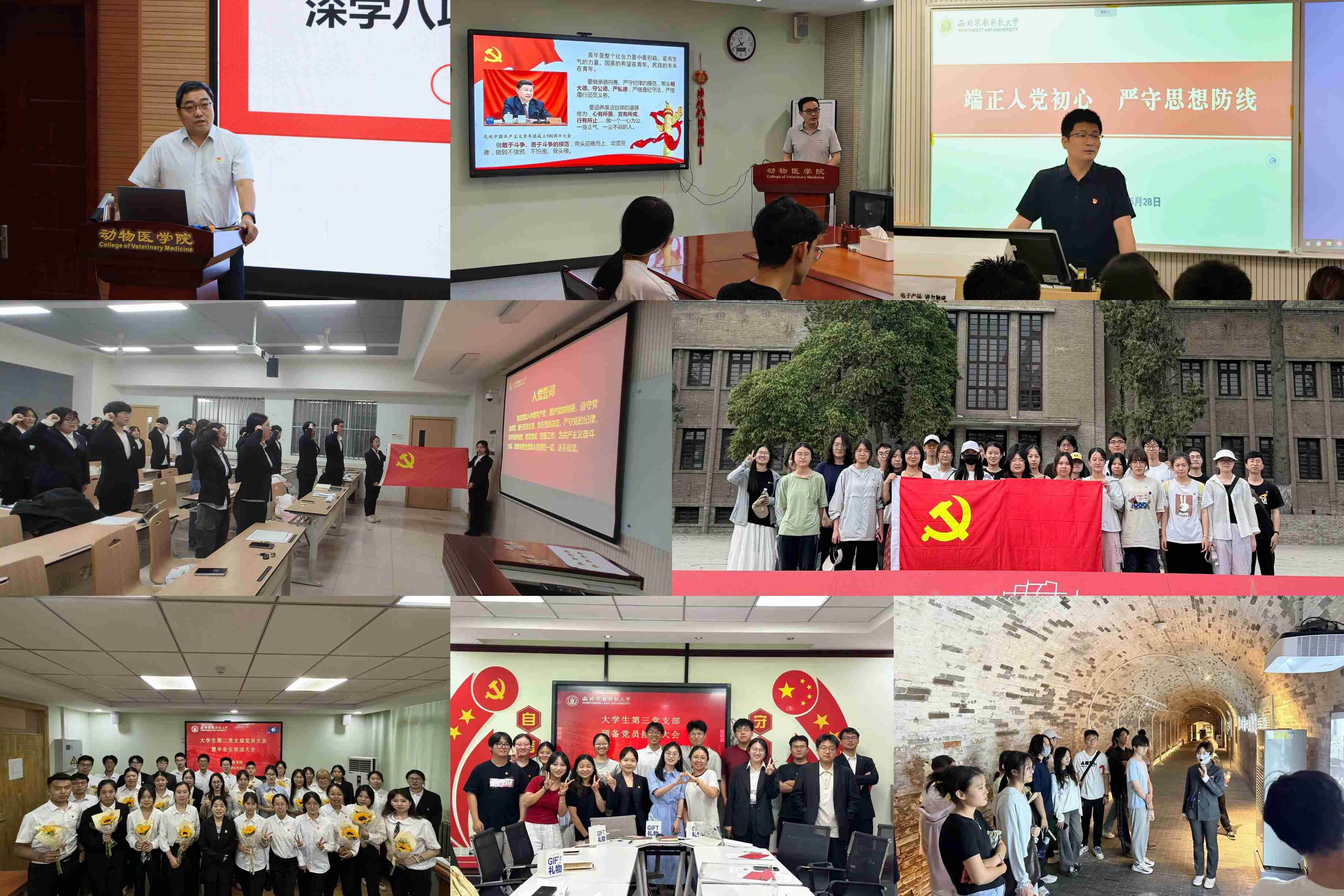 活动组图.jpeg